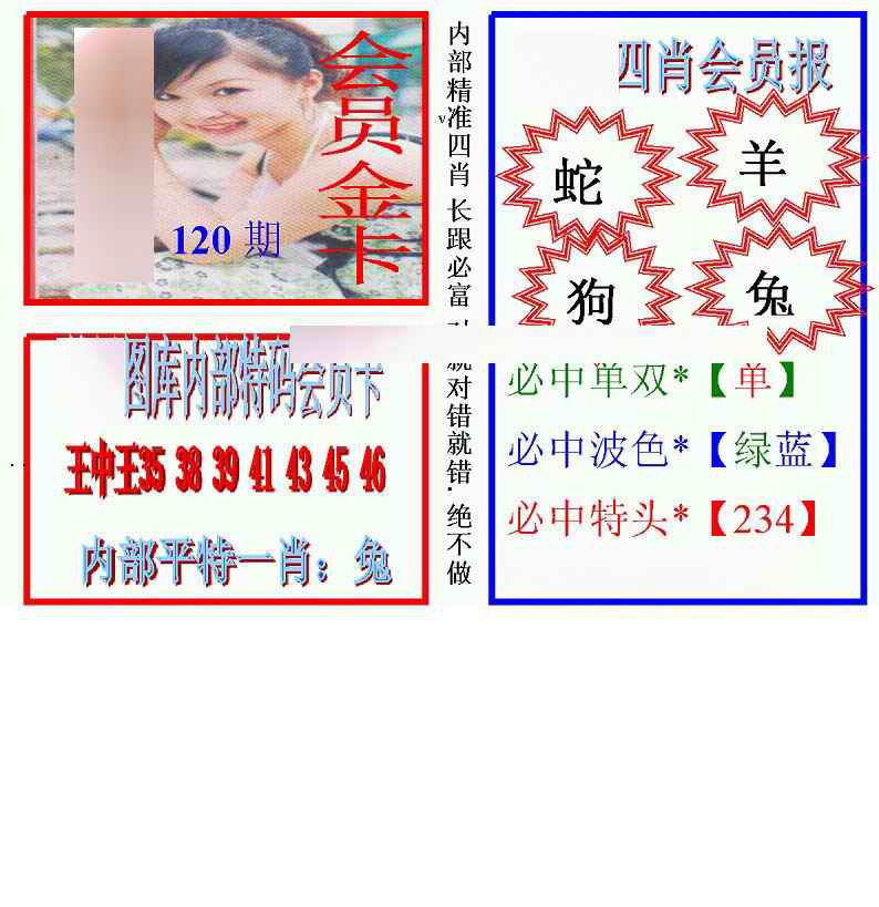 六合彩121期马经四肖会员报(新图)