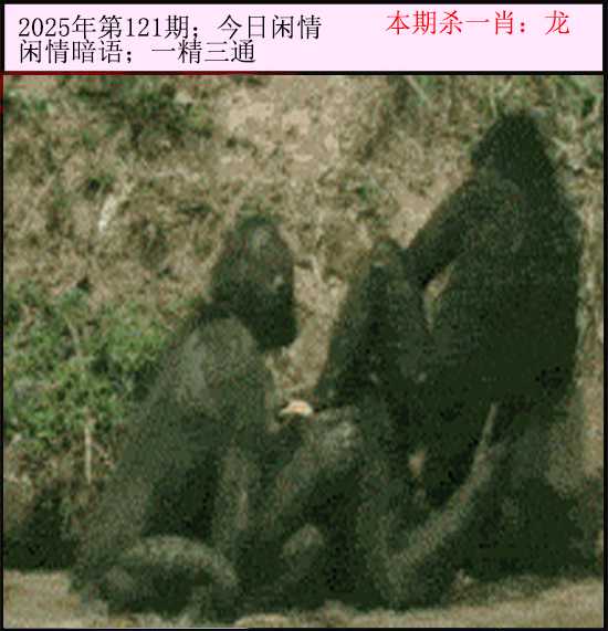 六合彩121期今日闲情