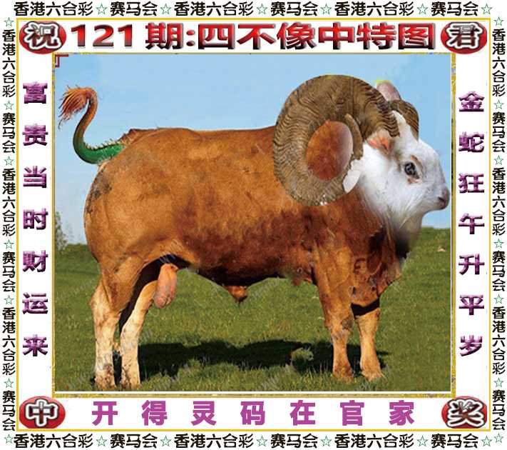六合彩121期四不像中特图