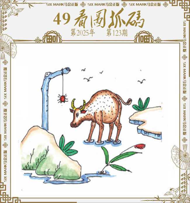 六合彩123期49看图抓码