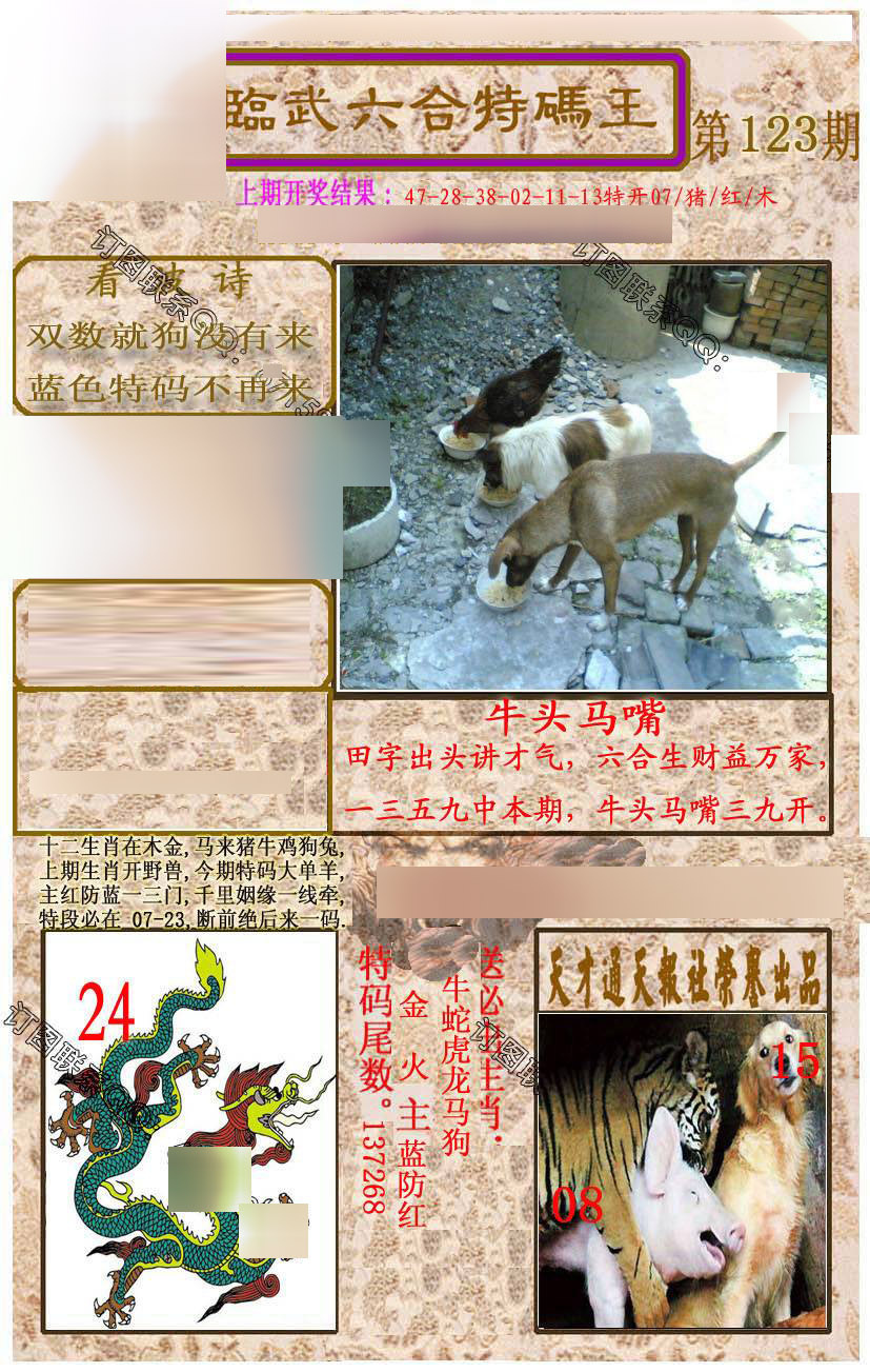 六合彩123期临武六合特码王