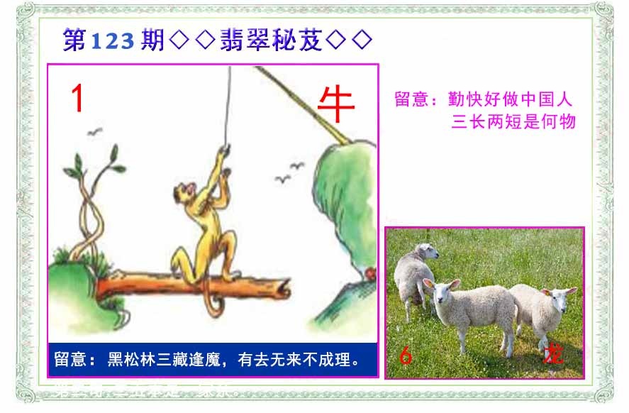 六合彩123期翡翠报