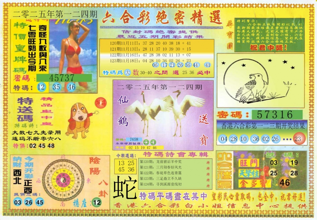 六合彩124期绝密精选A