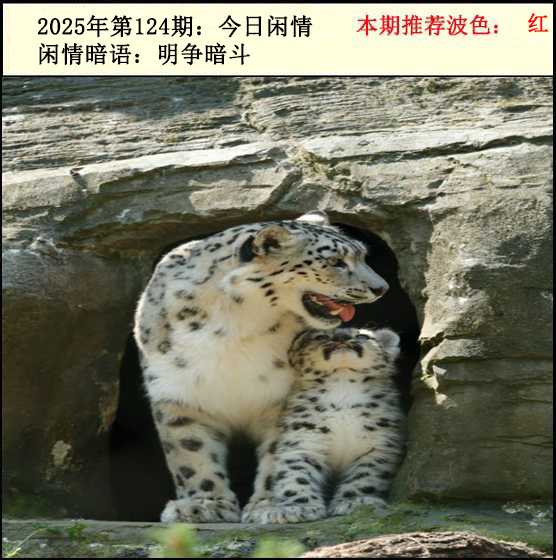 六合彩124期今日闲情2