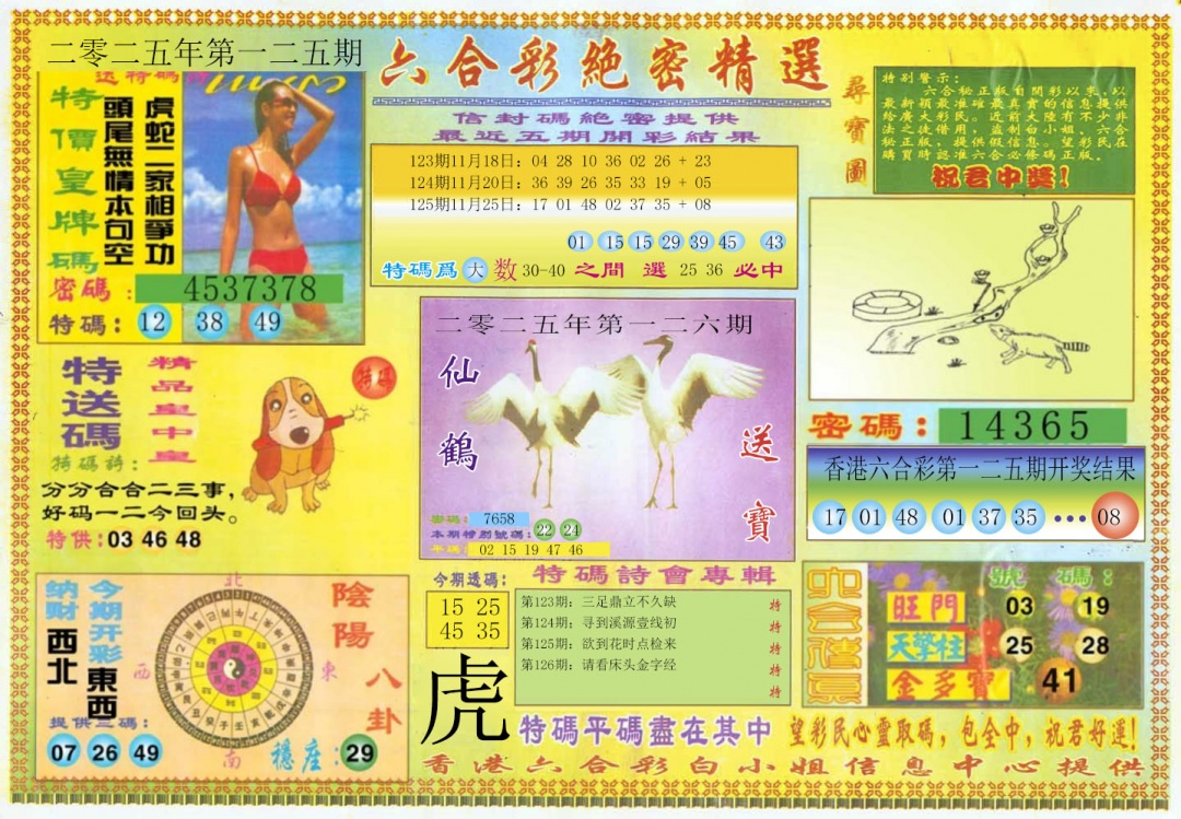 六合彩126期绝密精选A