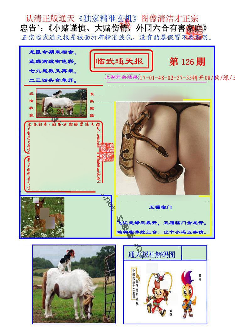 六合彩126期临武通天报
