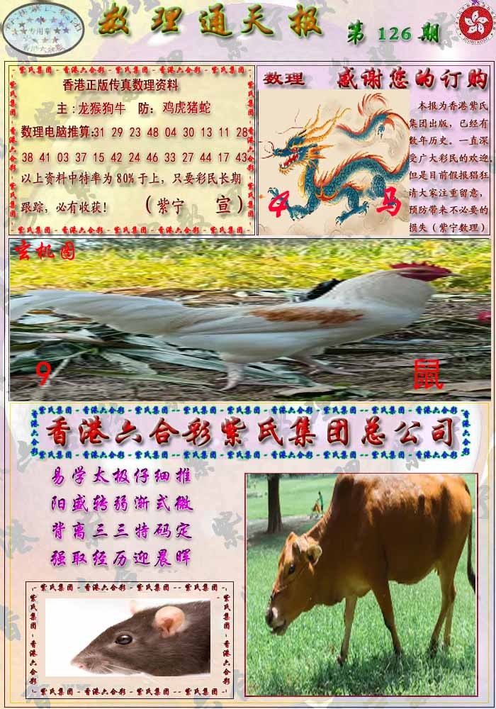 六合彩126期数通报