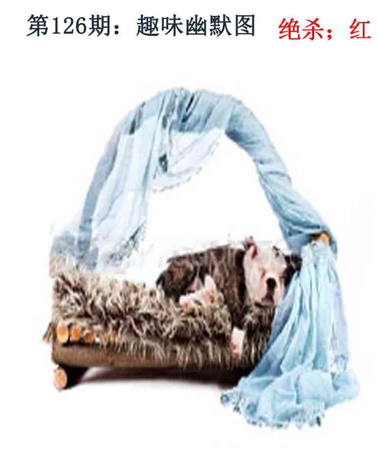 六合彩126期趣味幽默