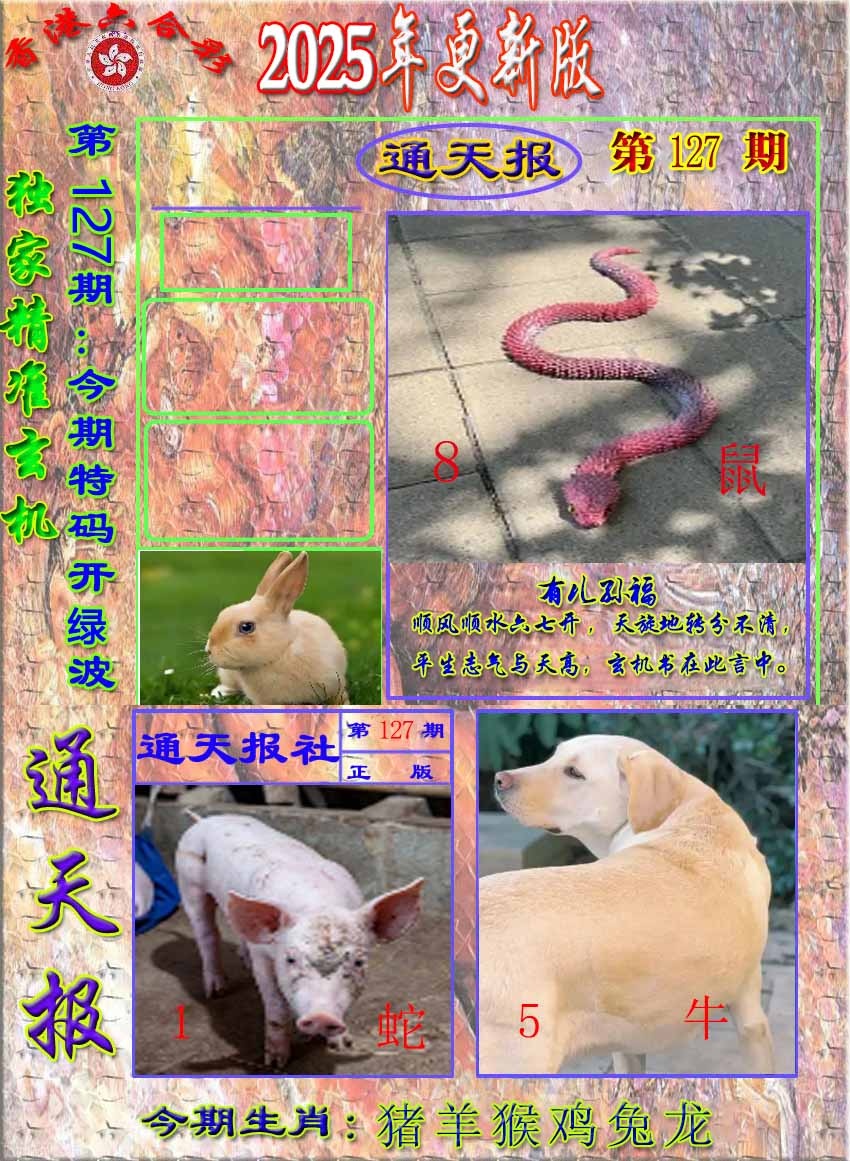 六合彩127期新通报