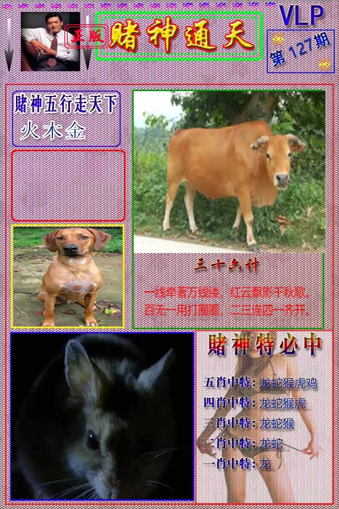 六合彩127期赌神通天报