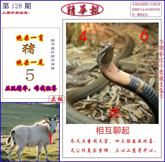六合彩128期新精华报报