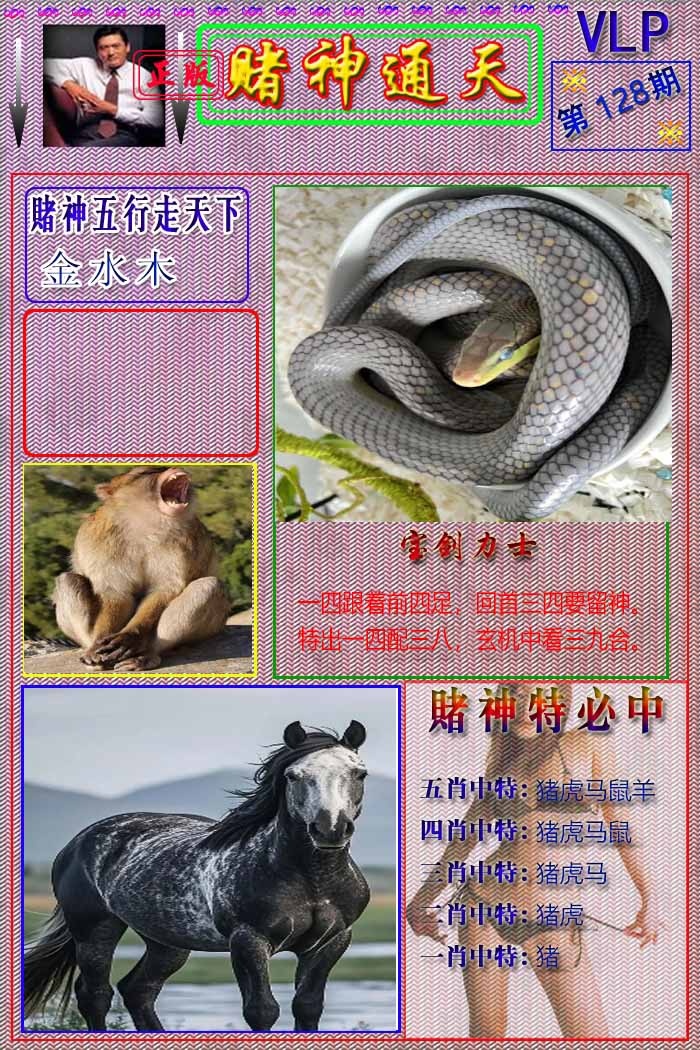六合彩128期赌神通天报