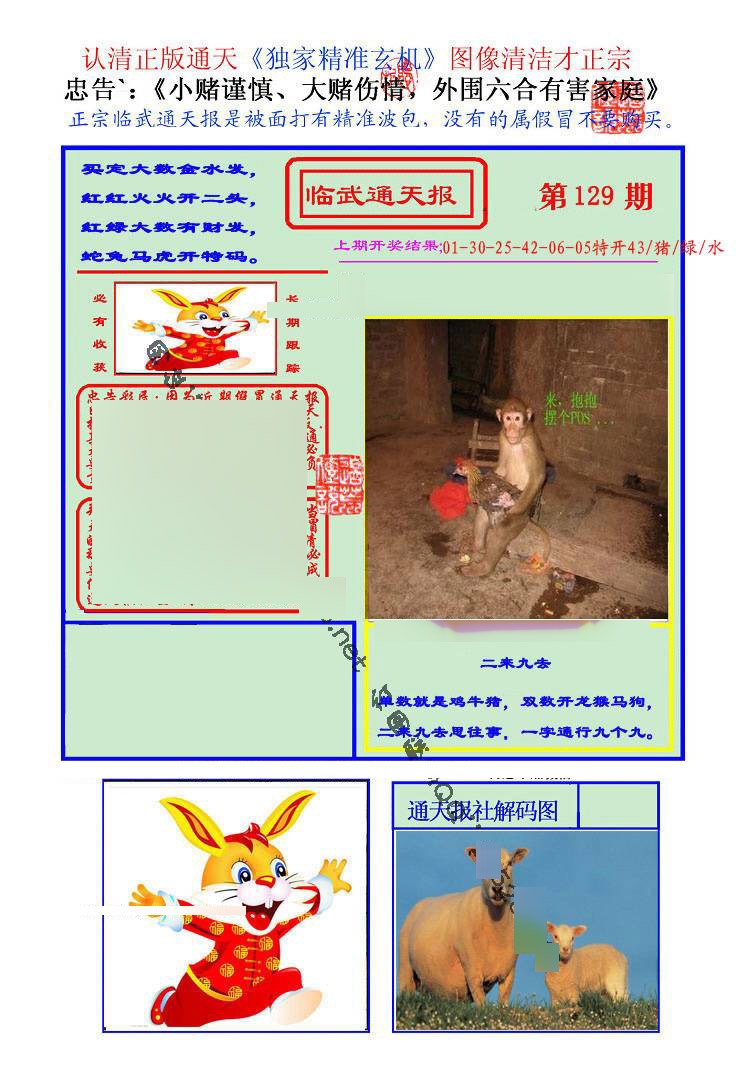 六合彩129期临武通天报