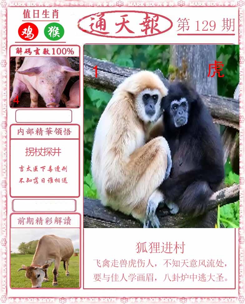六合彩129期正版通天报