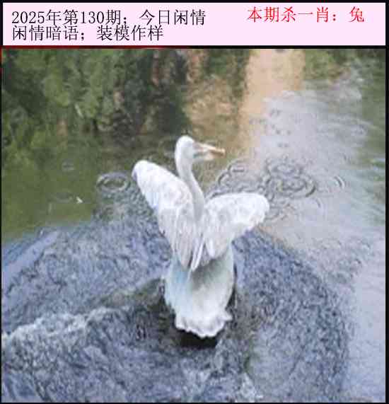 六合彩130期今日闲情