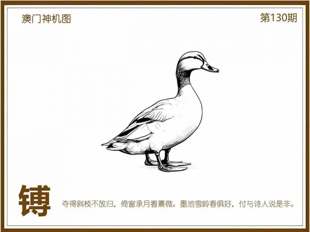 六合彩130期澳门神机图