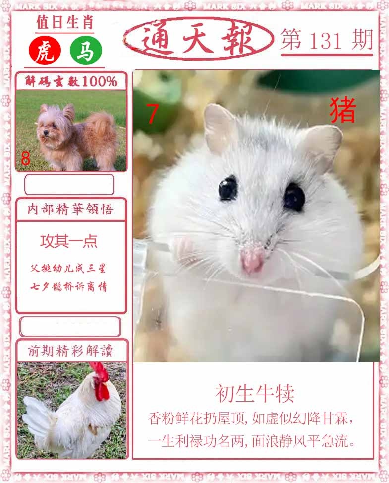 六合彩131期正版通天报