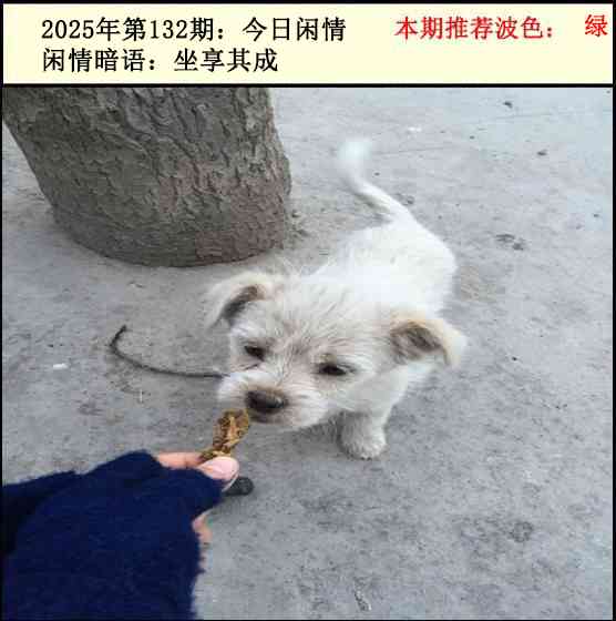 六合彩132期今日闲情2