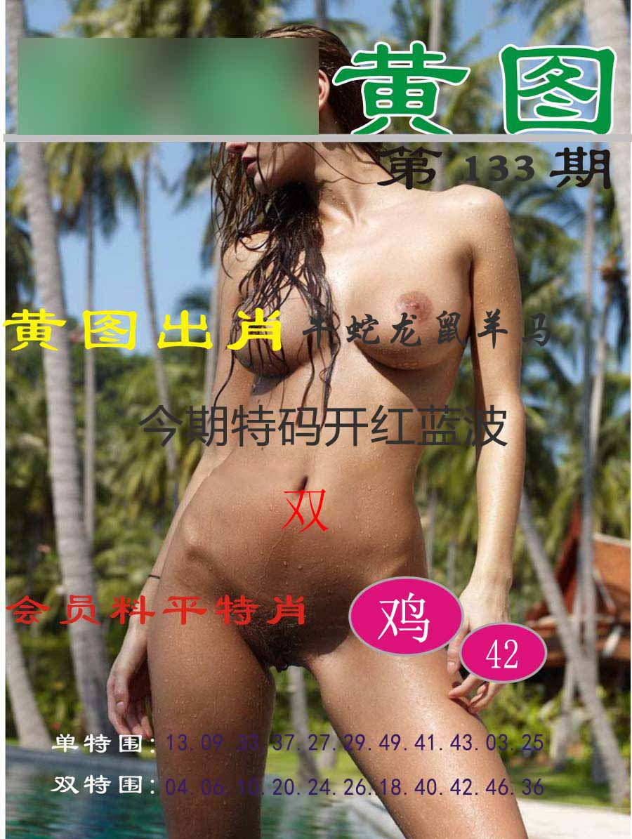 六合彩133期黄图