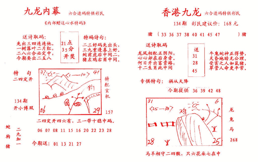 六合彩134期九龙内幕