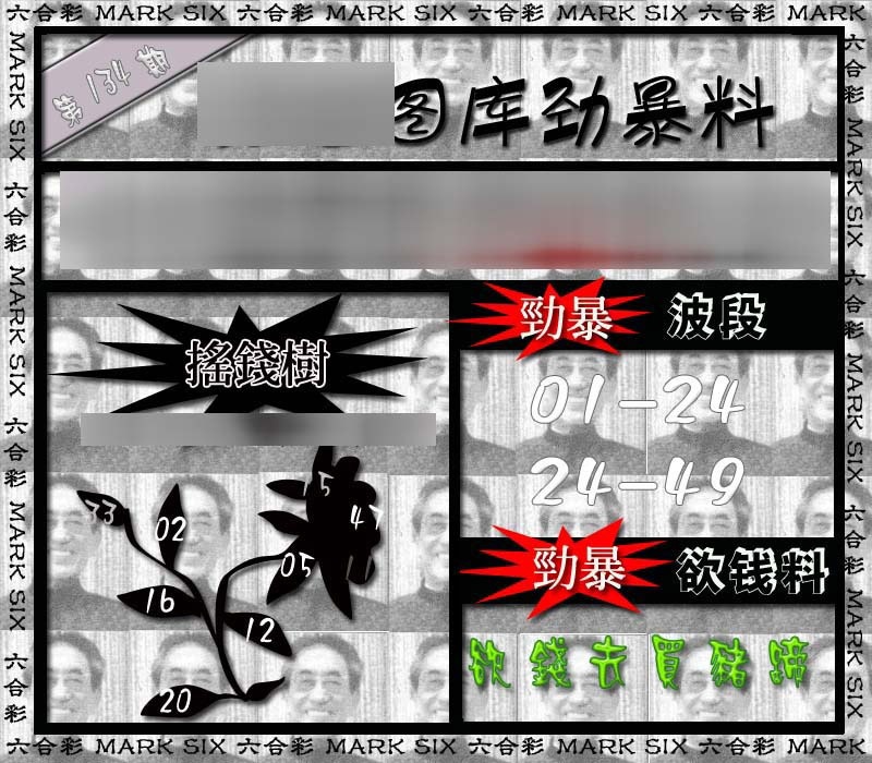 六合彩134期劲暴来料{正版}