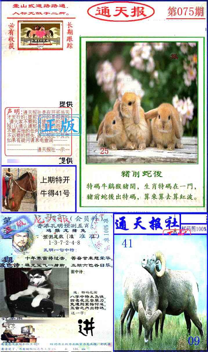 六合彩075期实力通天报