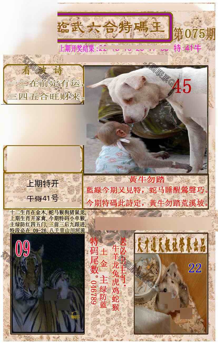 六合彩075期临武六合特码王
