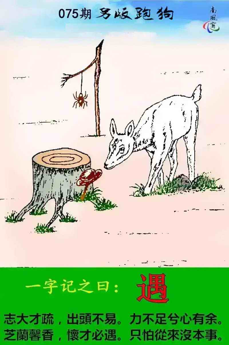 六合彩075期另版跑狗