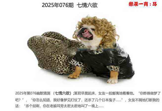 六合彩076期幽默猜测