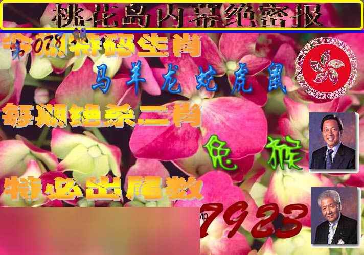 六合彩078期桃花岛内幕报