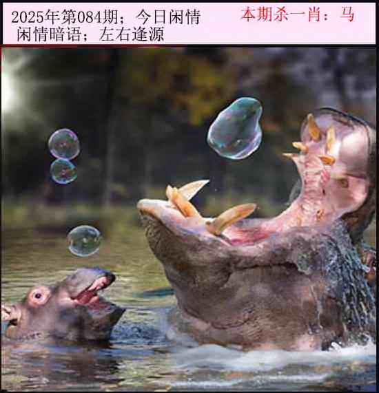 六合彩084期今日闲情