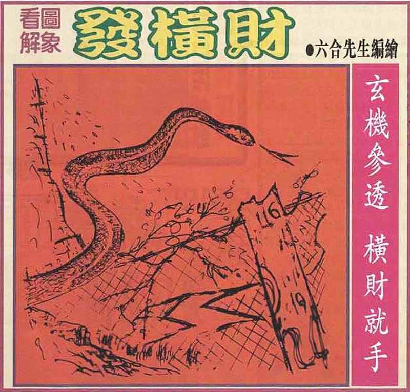 六合彩085期大财经发财图
