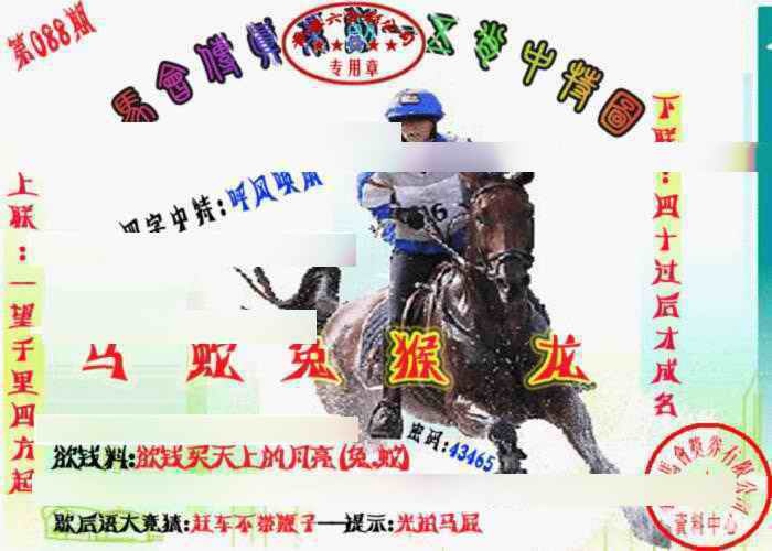 六合彩088期马会传真-五肖料