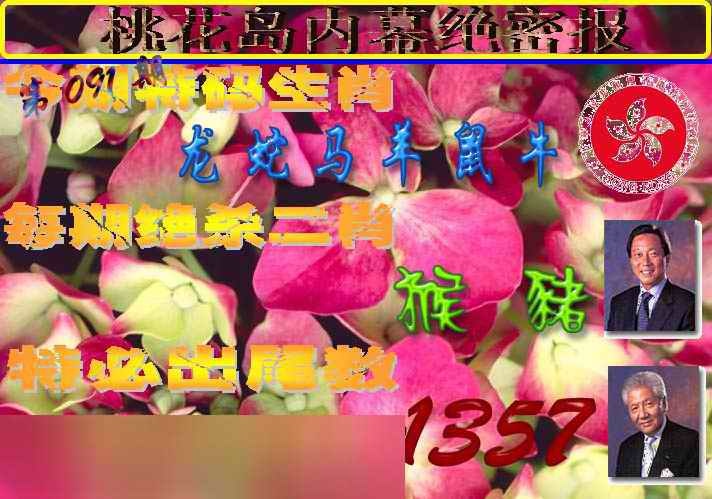 六合彩091期桃花岛内幕报