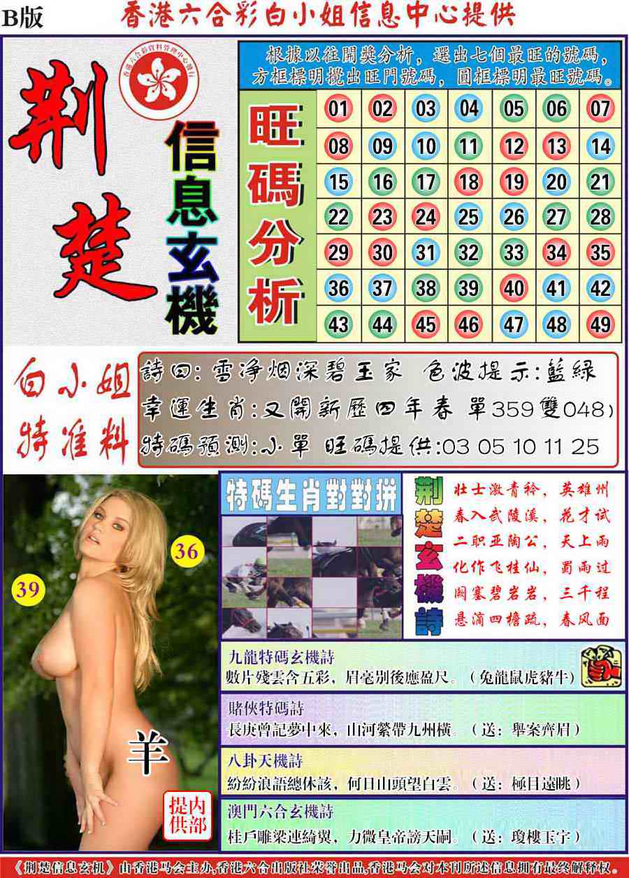 六合彩091期荆楚信息玄机B