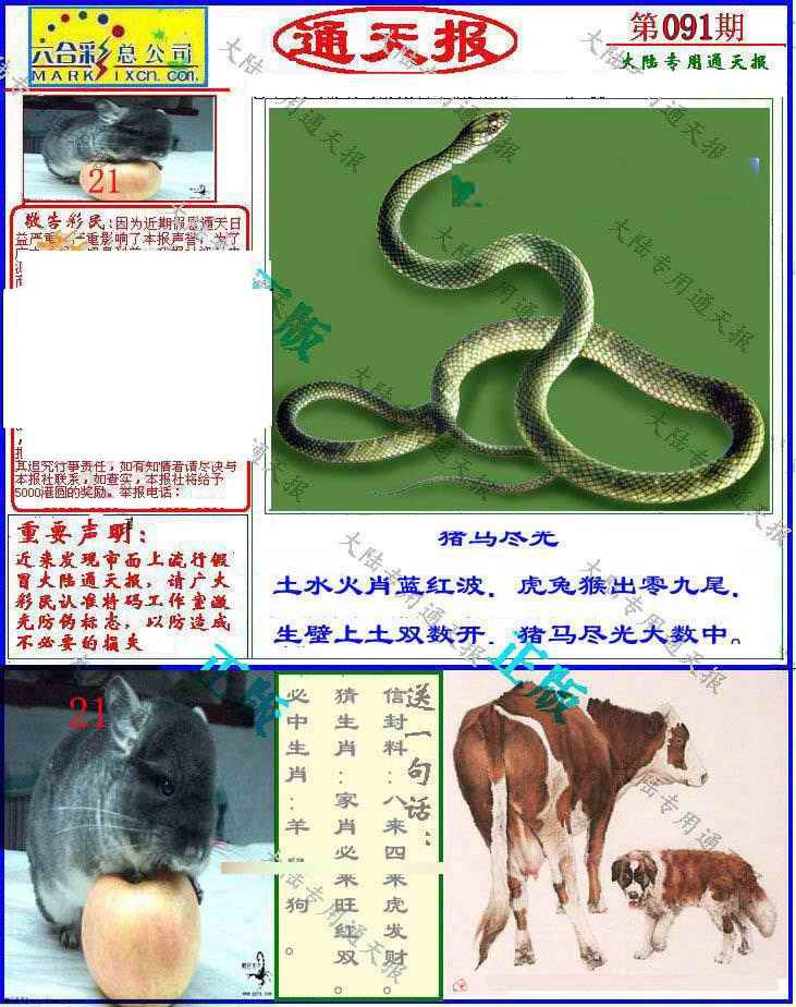 六合彩091期大陆通天报