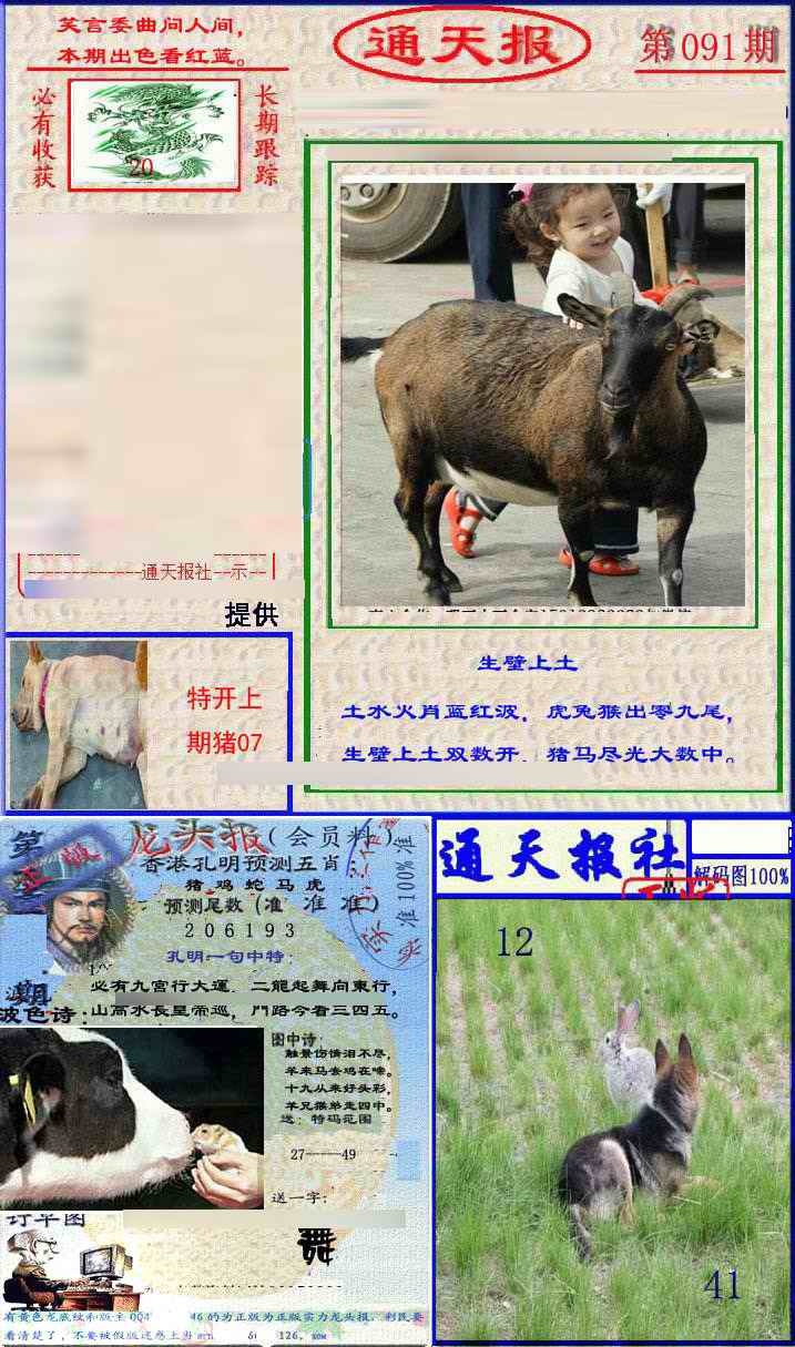 六合彩091期实力通天报