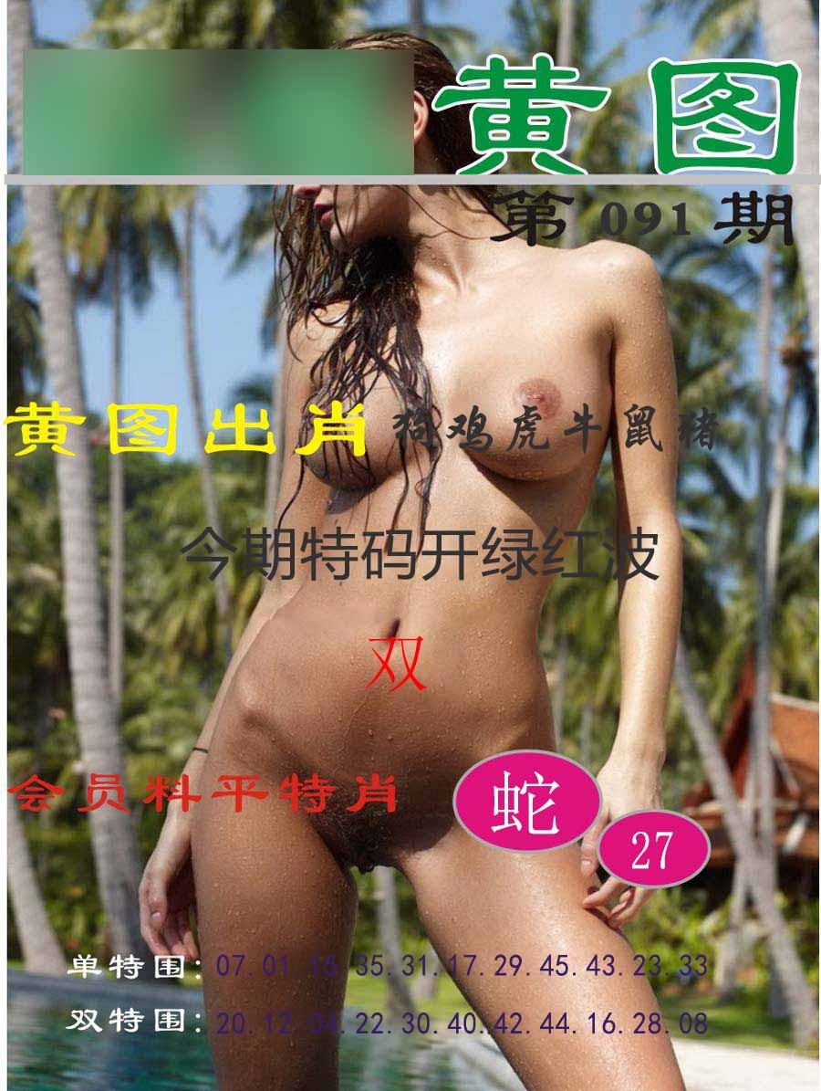 六合彩091期黄图