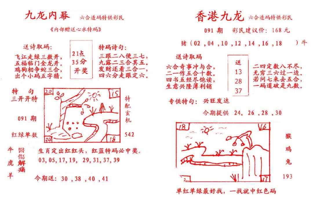 六合彩091期九龙内幕