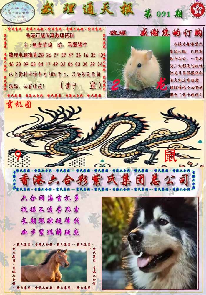 六合彩091期数通报