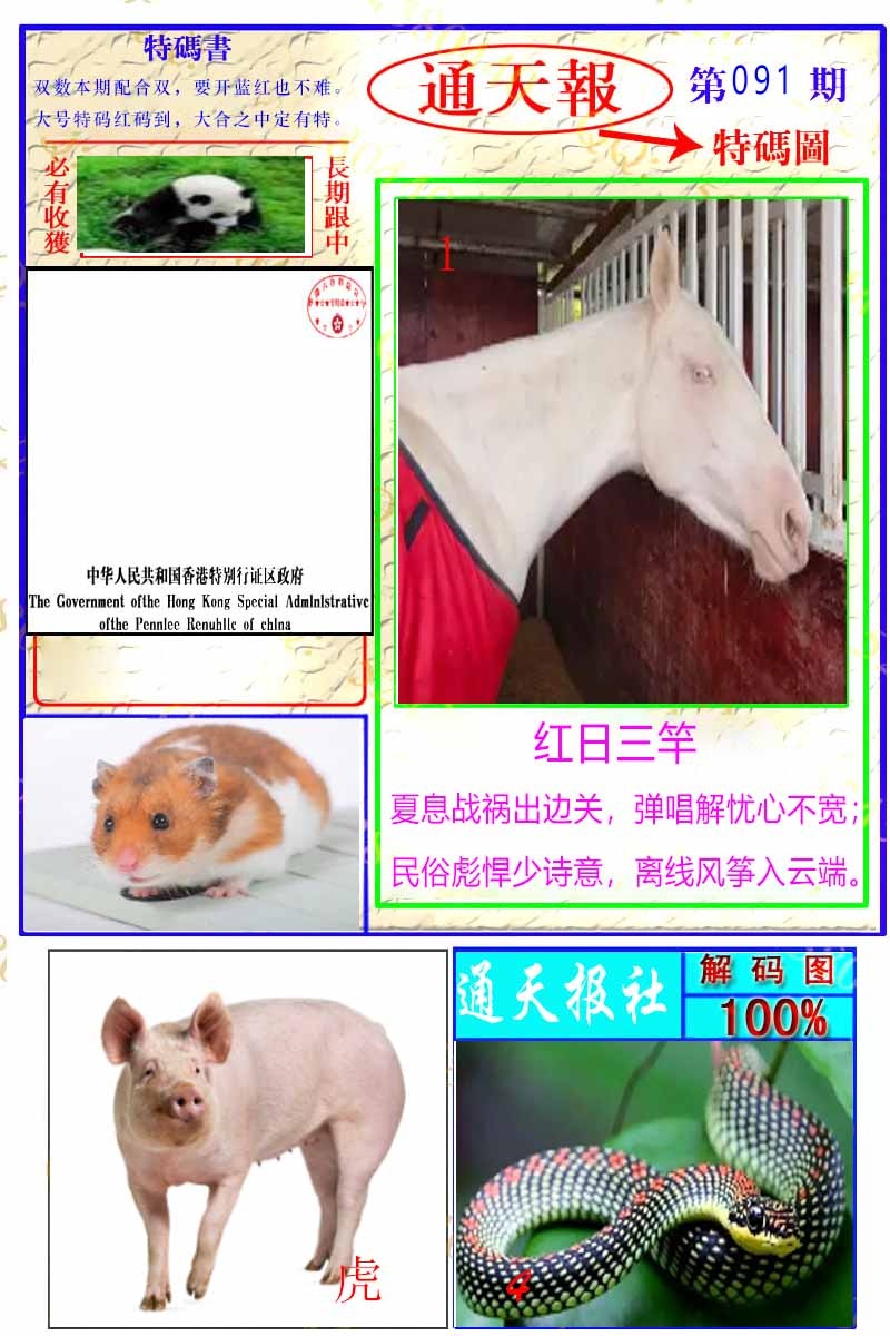 六合彩091期通天特解图