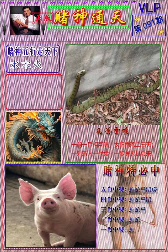 六合彩091期赌神通天报