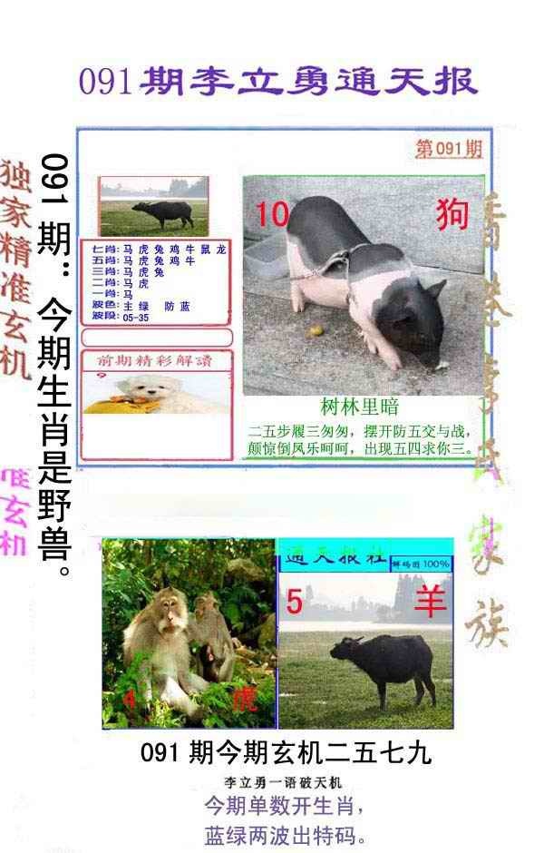 六合彩091期李立勇通天报