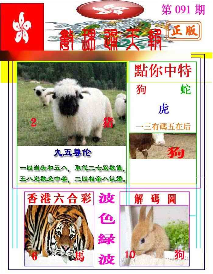六合彩091期数理通天