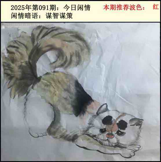 六合彩091期今日闲情2