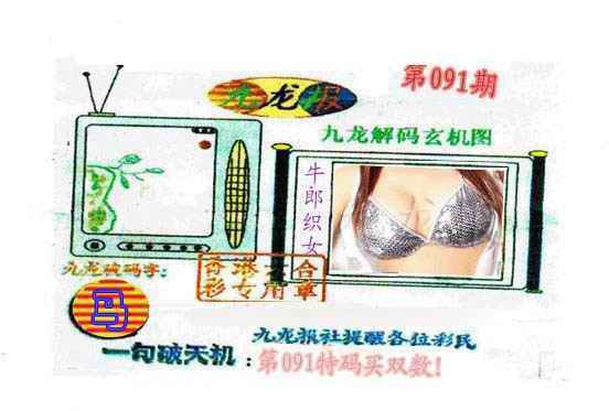 六合彩091期九龙报