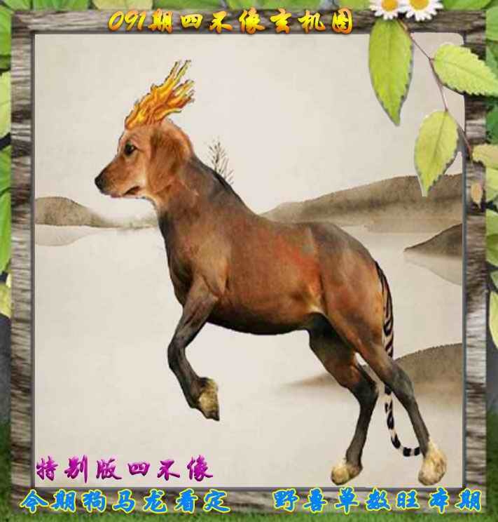 六合彩091期四不像特别版