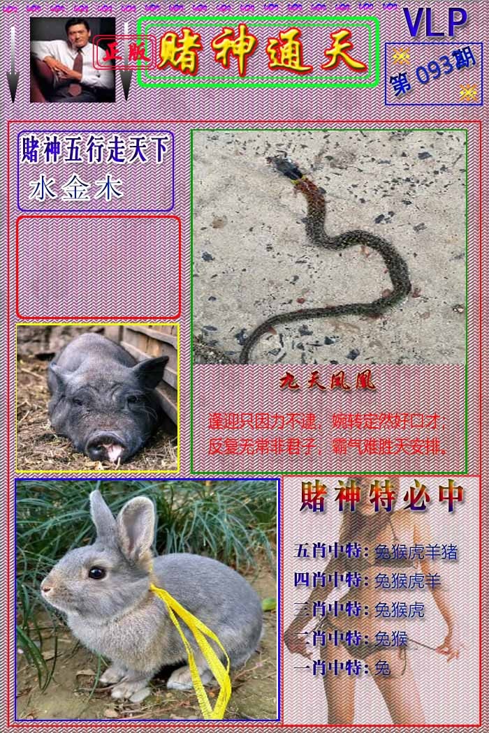六合彩093期赌神通天报