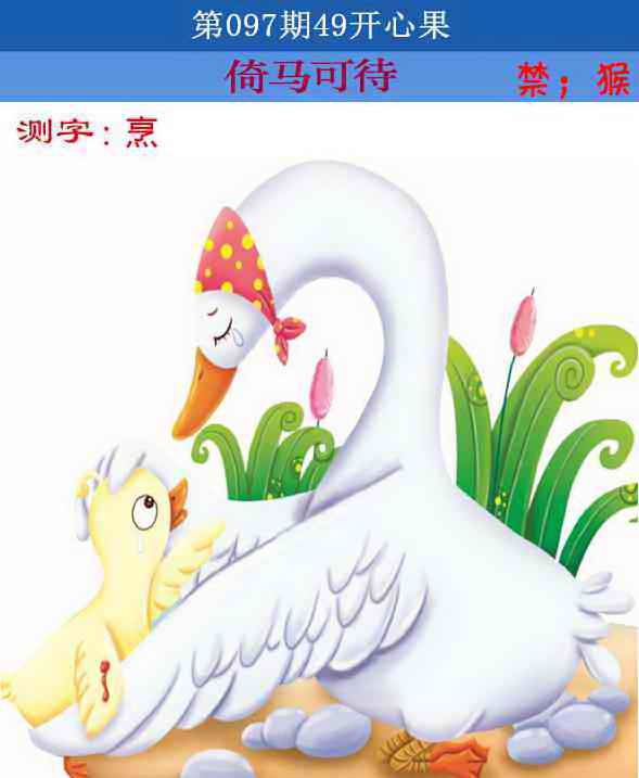 六合彩097期四九开心果