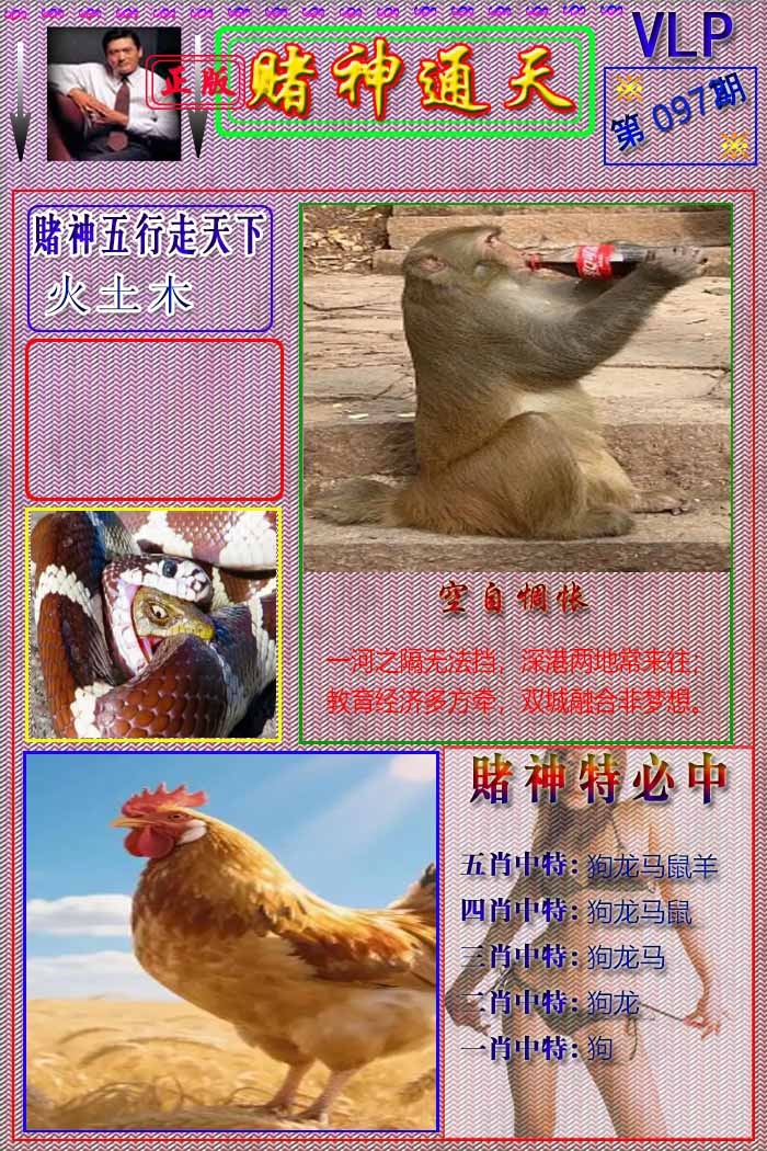 六合彩097期赌神通天报